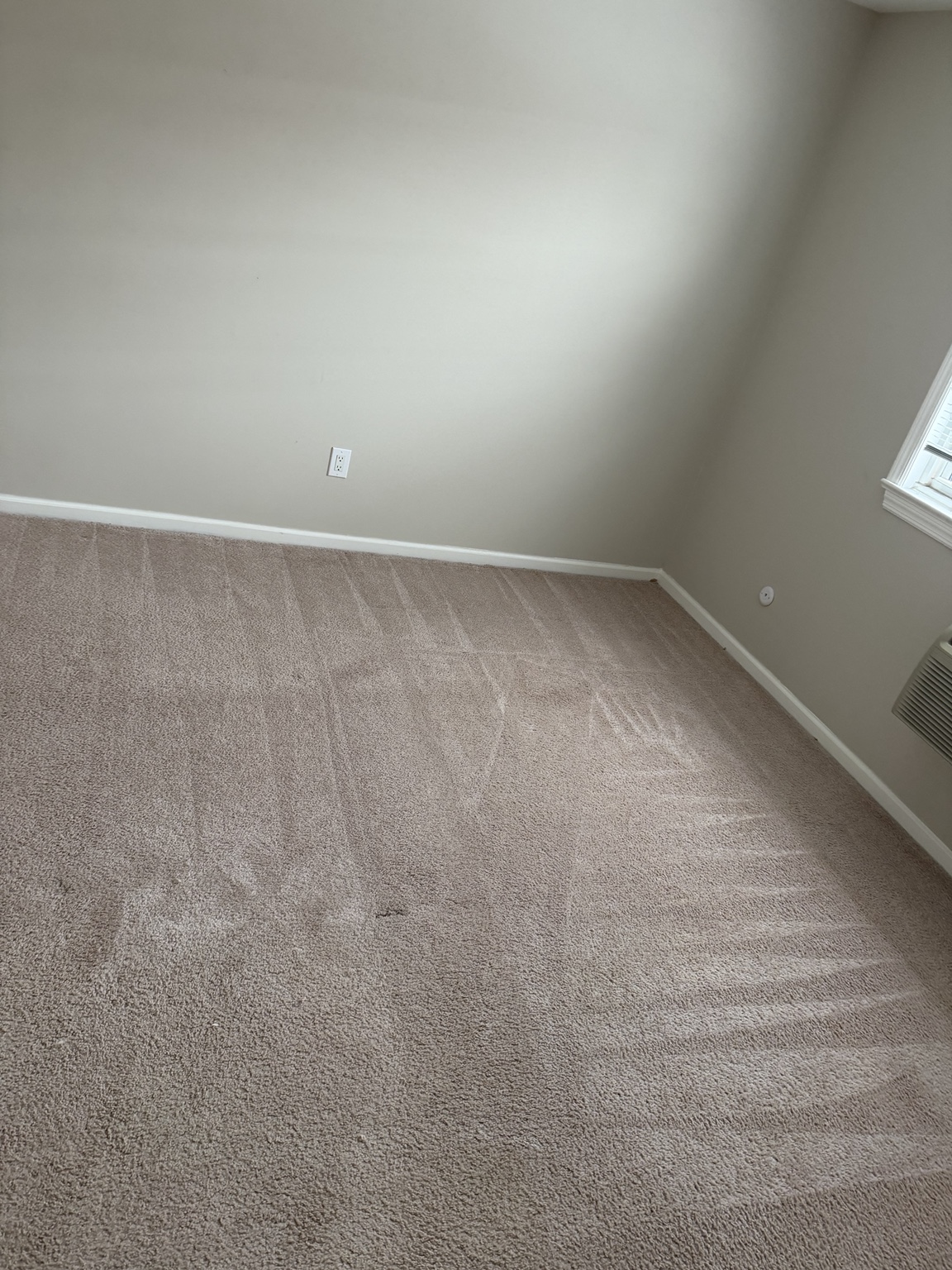 Carpet after cleaning