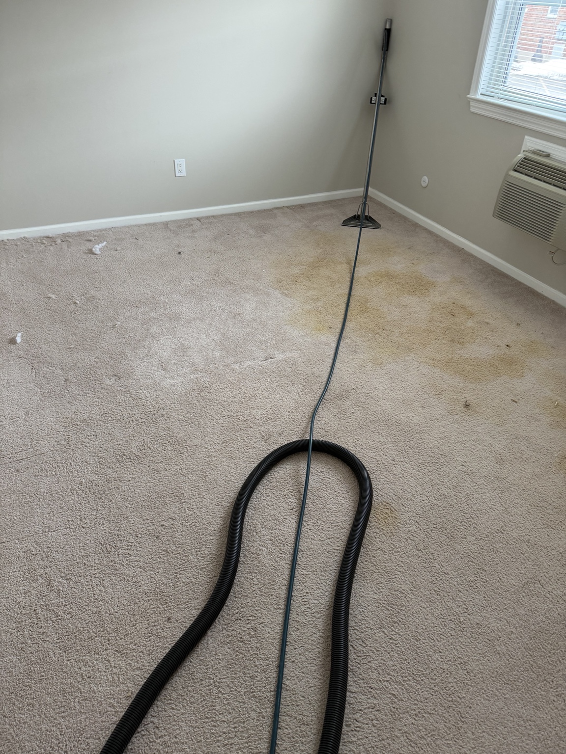 Carpet before cleaning