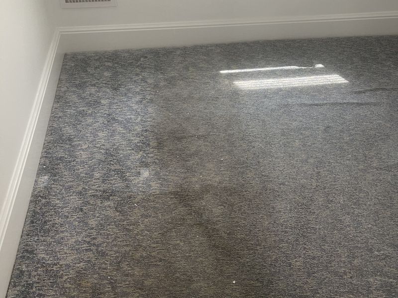 Blue bedroom carpet before deep cleaning by Dr. Carpet18, showing heavy traffic soil