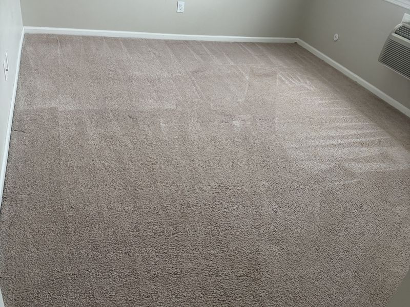The same bedroom carpet after deep cleaning by Dr. Carpet18