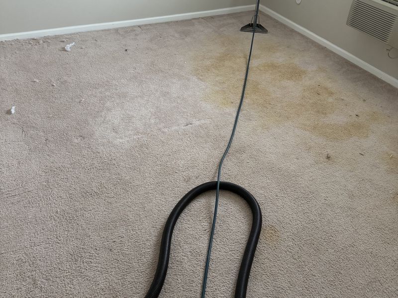 Bedroom carpet before deep cleaning by Dr. Carpet18