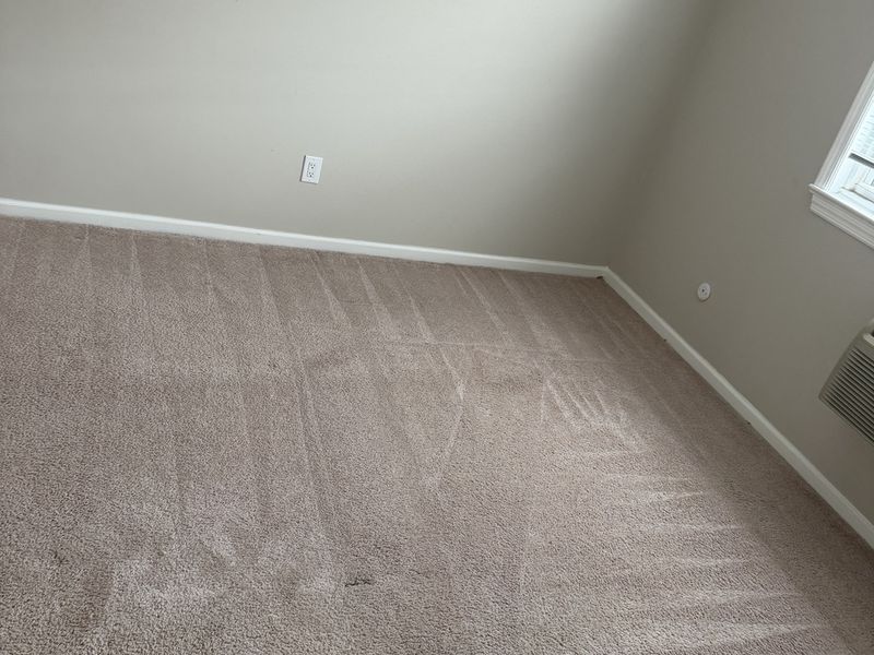 The same carpet after professional cleaning by Dr. Carpet18
