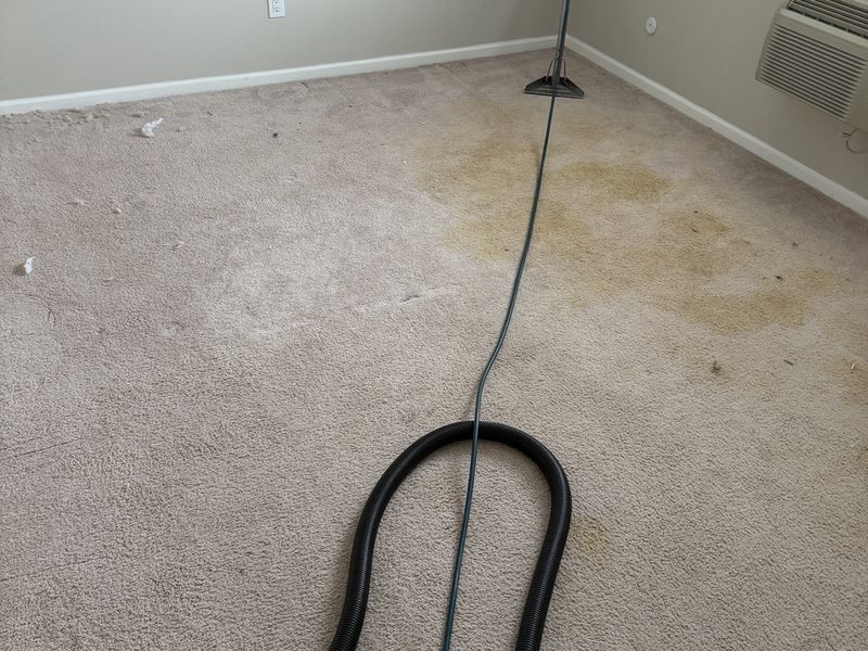 Carpet before professional cleaning by Dr. Carpet18