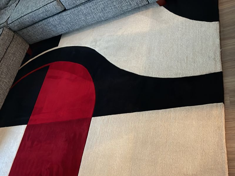 Area Rug Cleaning by Dr. Carpet18
